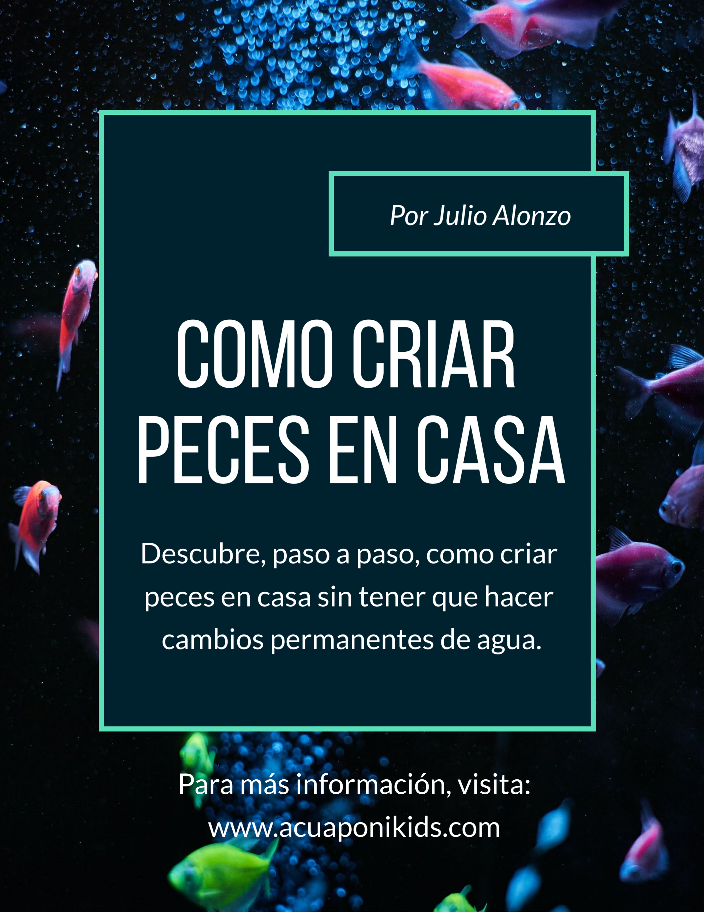 Como Criar Peces en Casa
