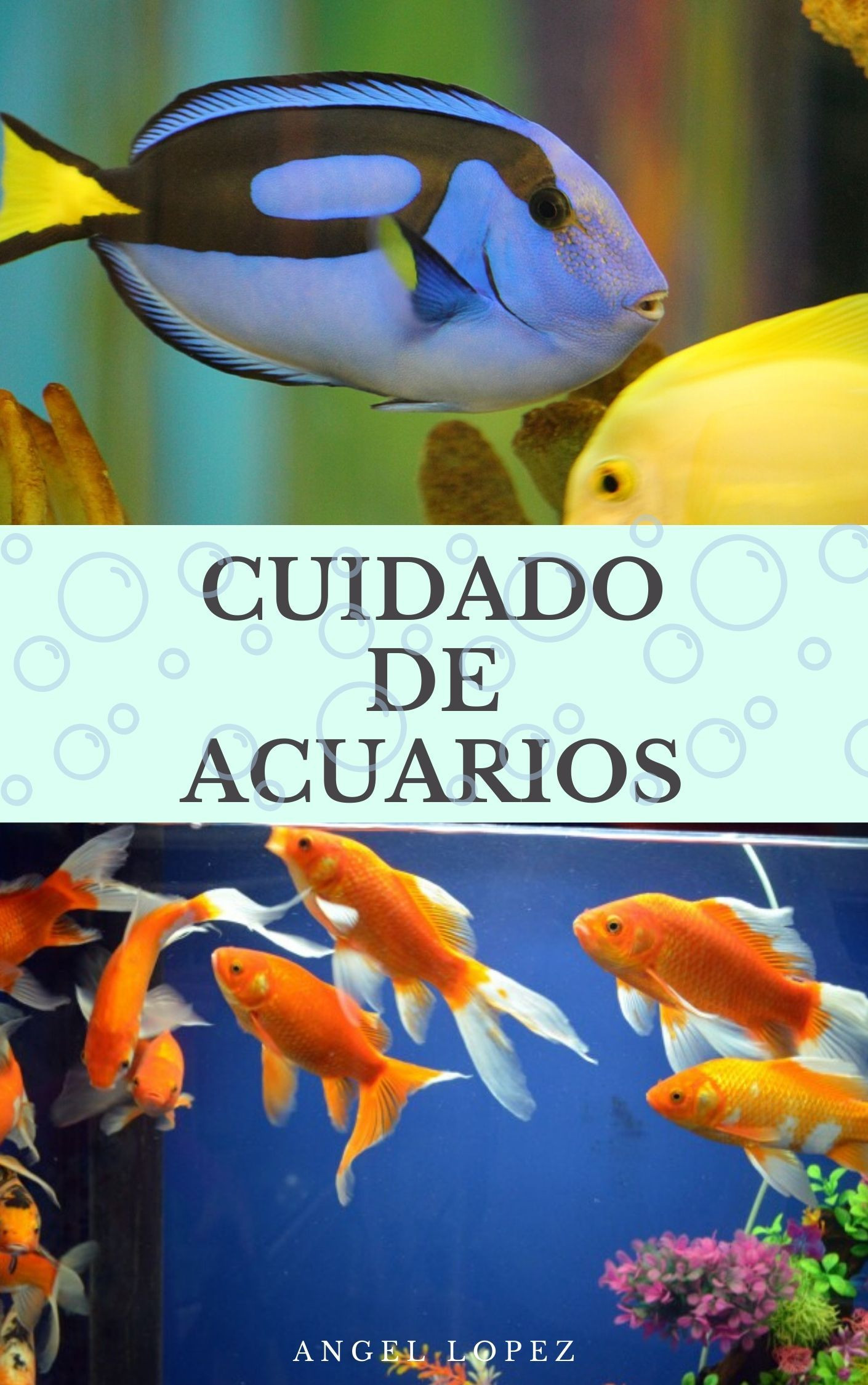 Cuidado de Acuarios