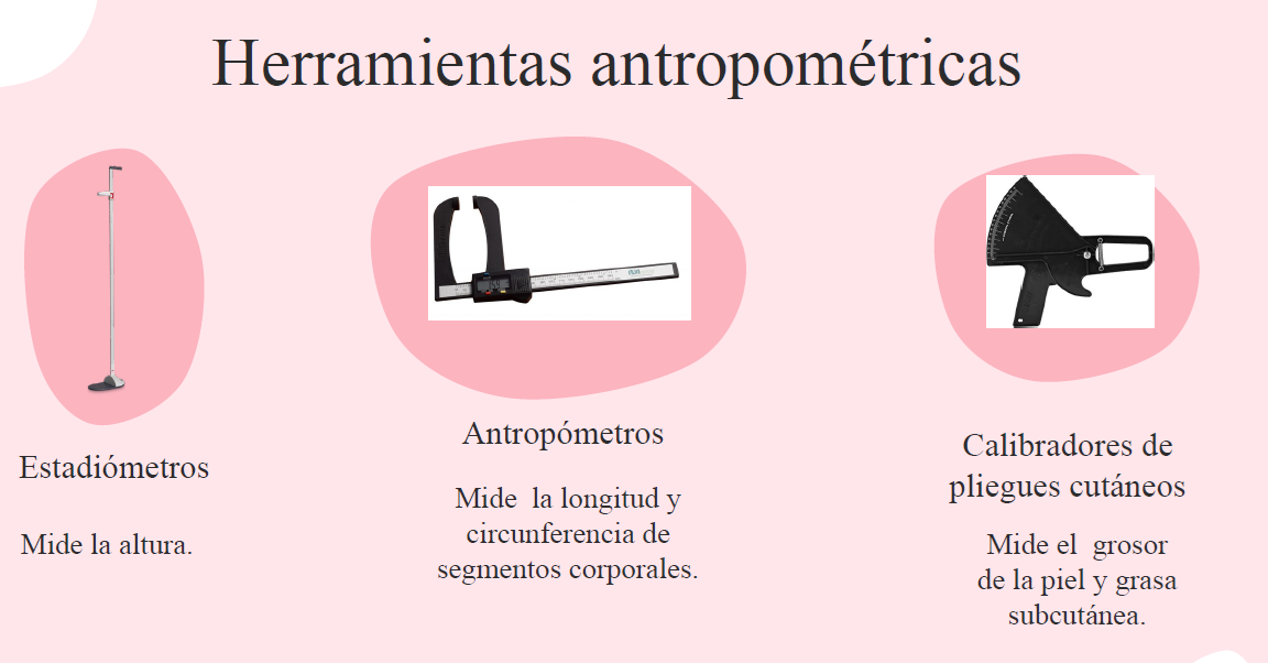 Herramientas antropométricas