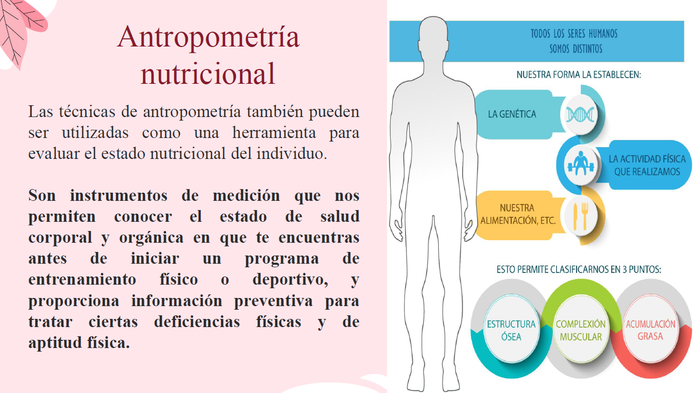Nutricional