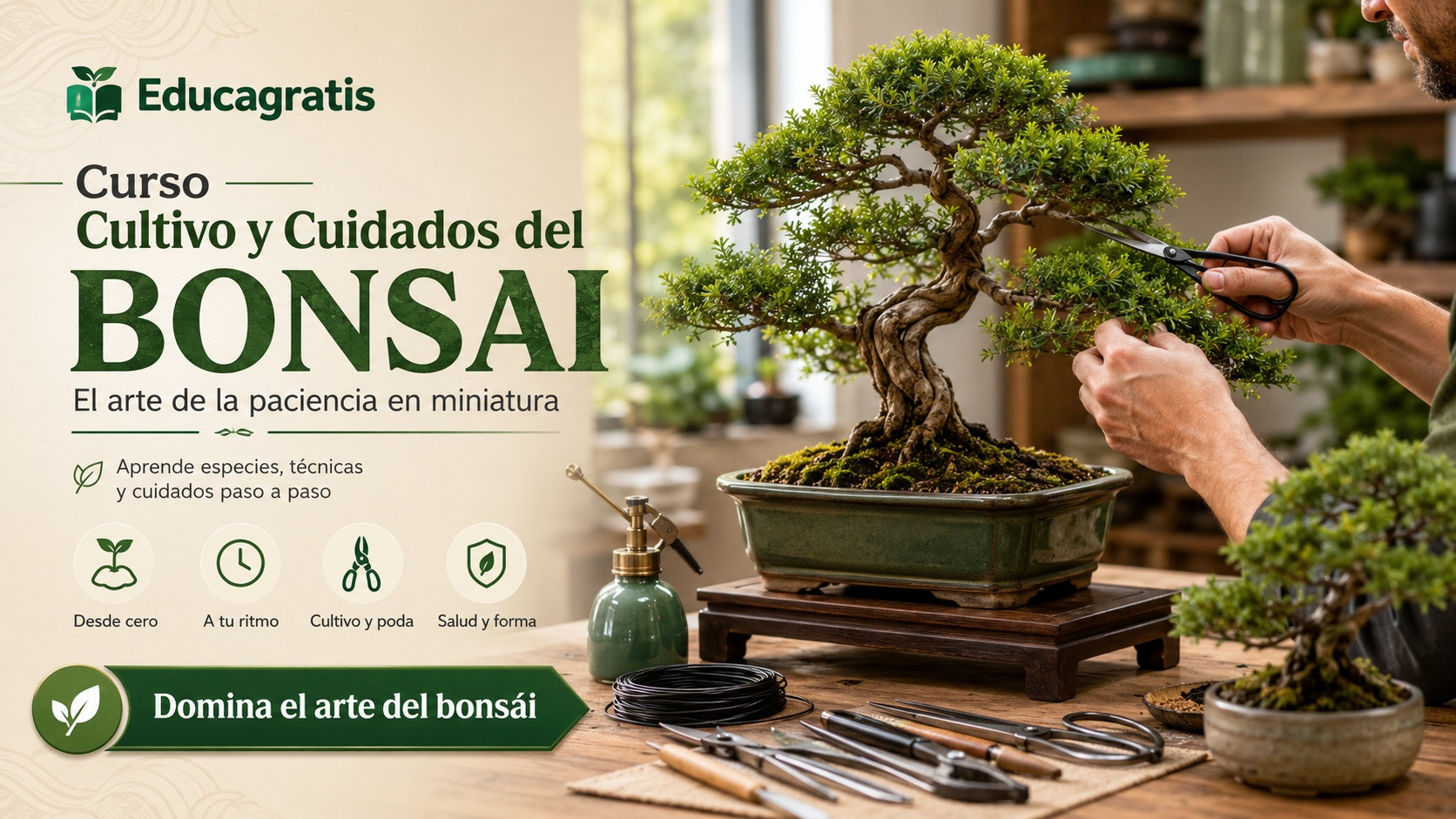 Curso Cultivo y Cuidados del Bonsai