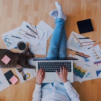 Curso de como conseguir un Buen Empleo / Trabajo Pinterest Educagratis