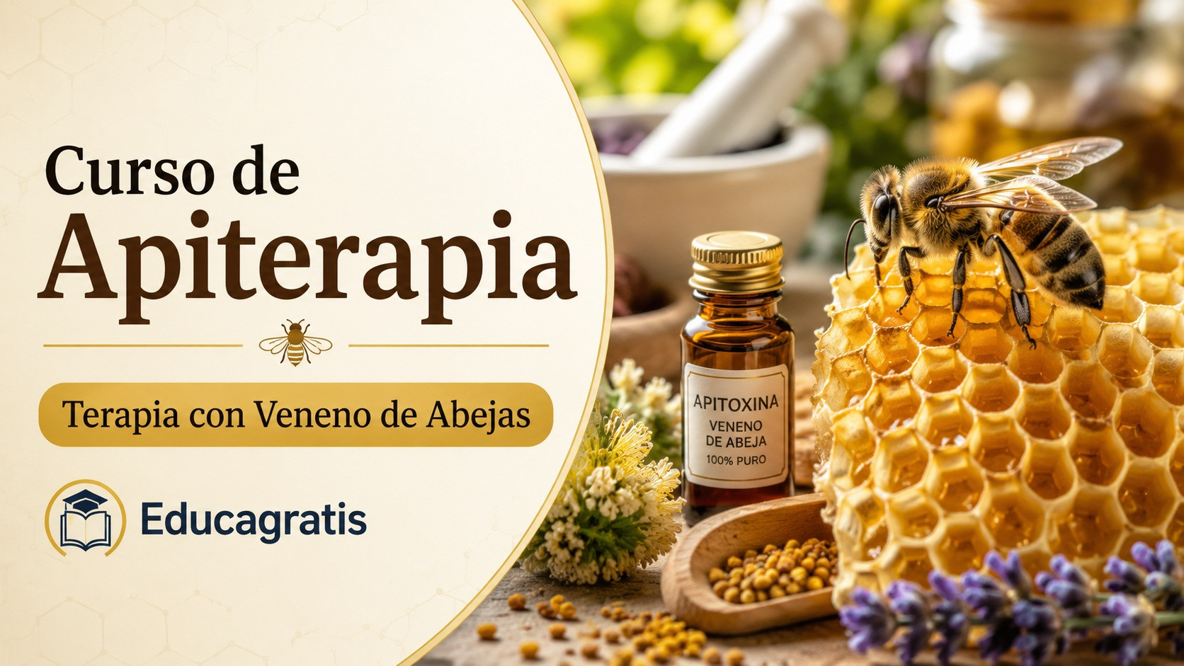 Curso de Apiterapia