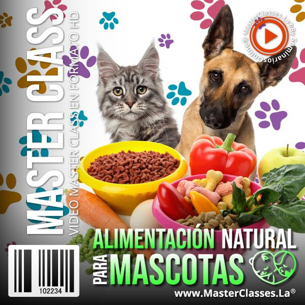 Alimentación Mascotas