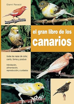 El gran libro sobre canarios