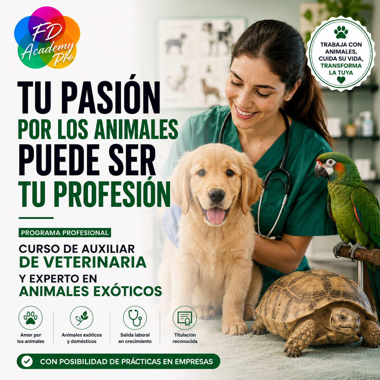 Experto en animales exoticos