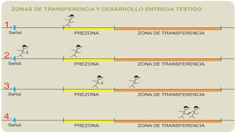 transferencia transferencia