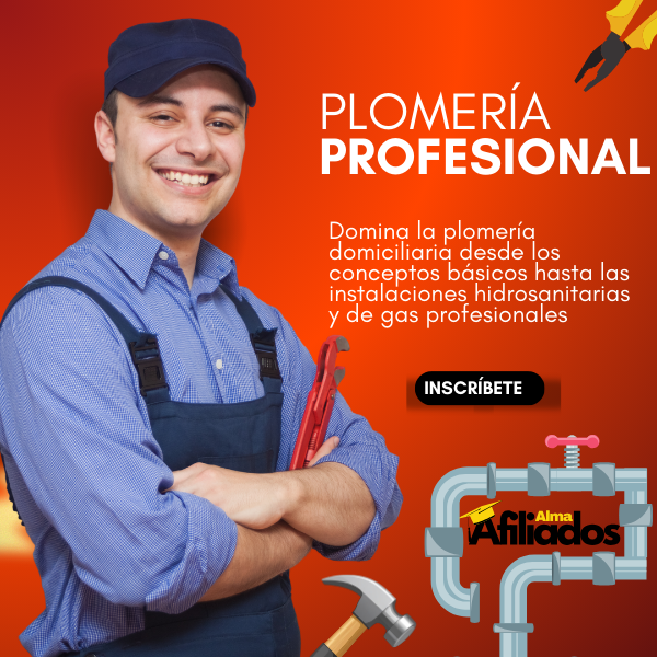 Plomería Profesional