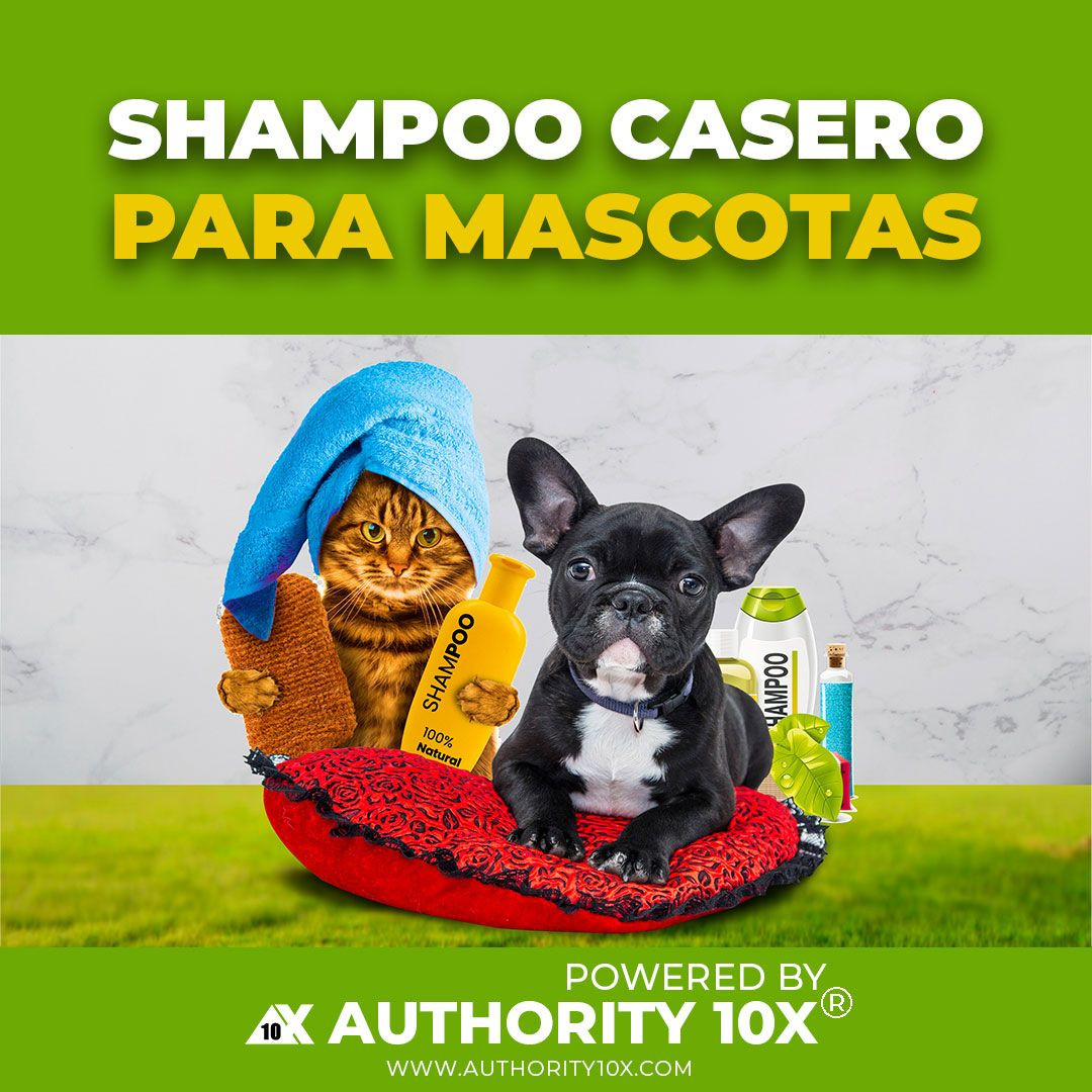 Shampoo casero para mascotas