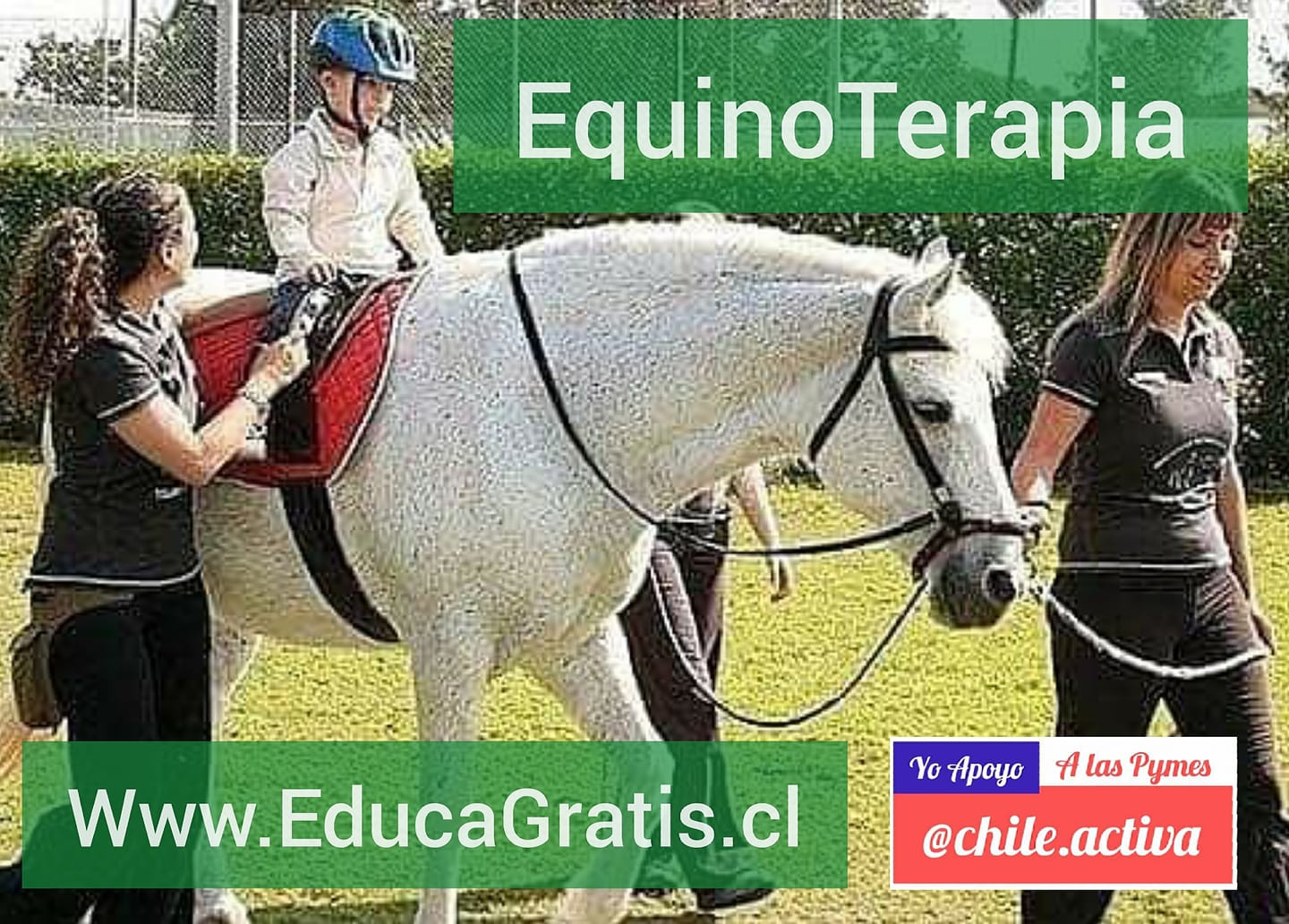 Curso de Equinoterapia
