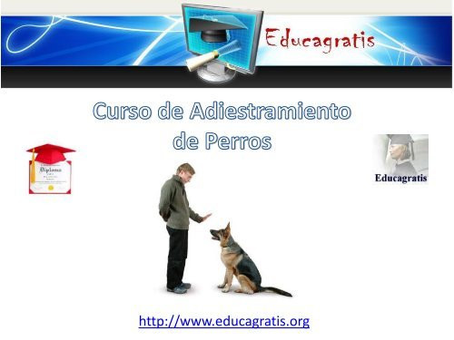 Curso gratis Adiestramiento de Perros