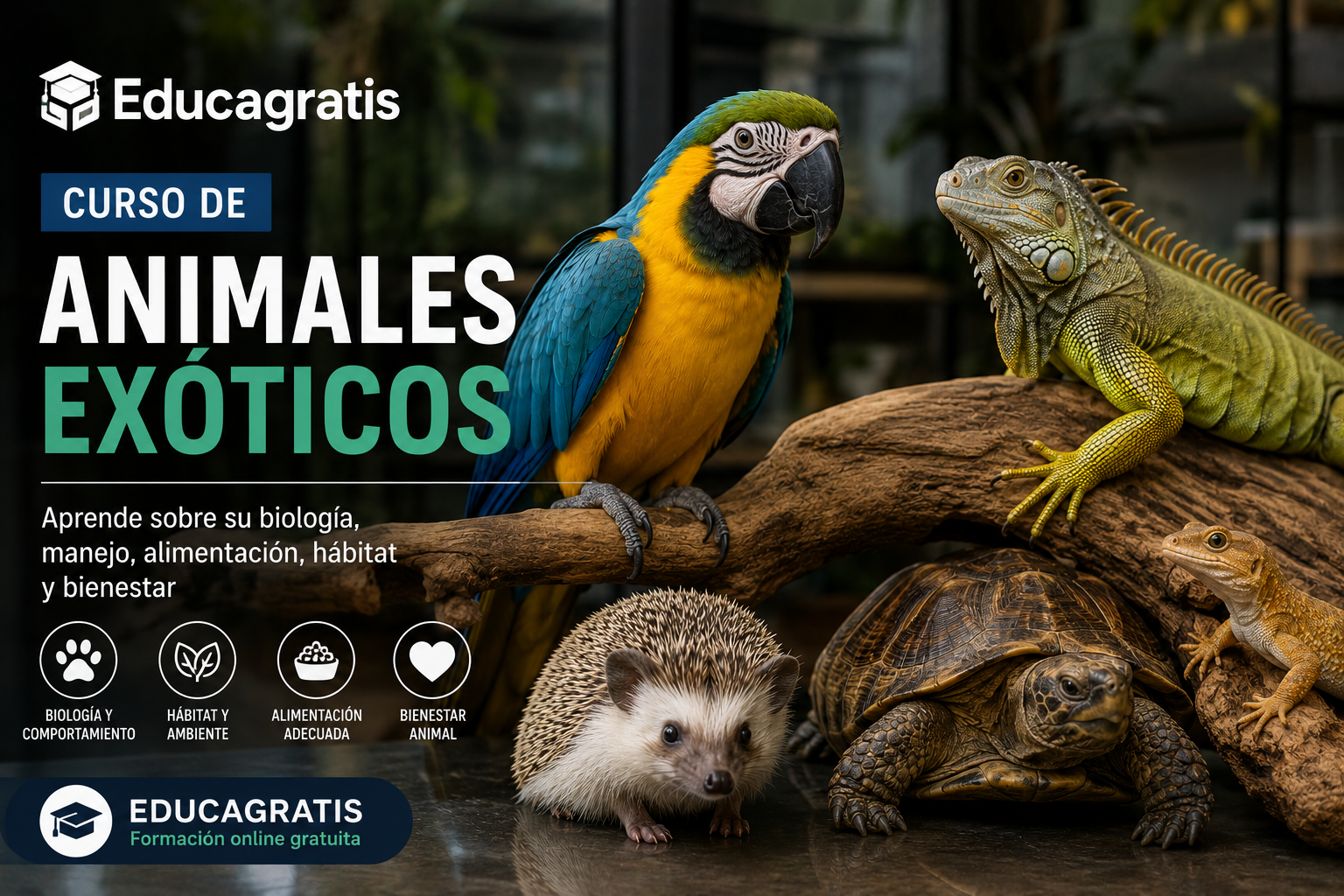 Curso de Animales Exoticos